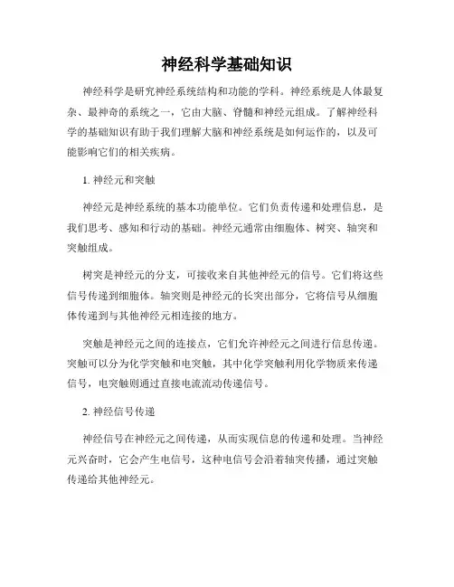 神经科学基础知识