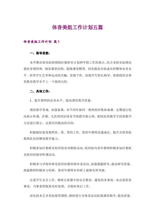 体音美组工作计划五篇