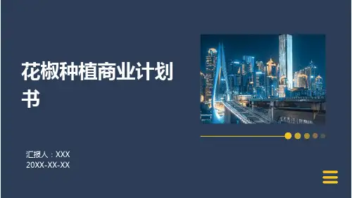 花椒种植商业计划书