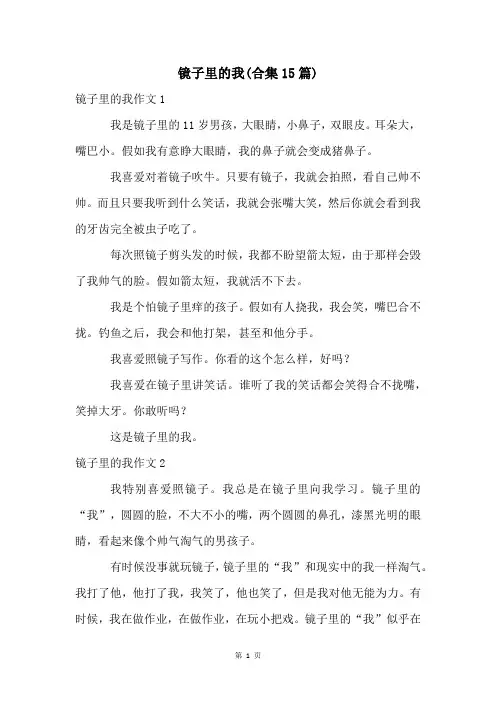 镜子里的我(合集15篇)