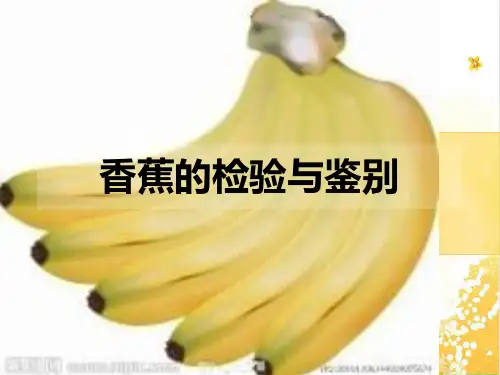 香蕉的检验与鉴别