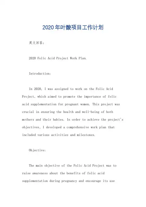 2020年叶酸项目工作计划
