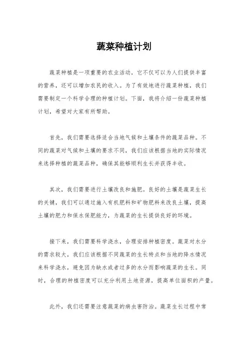 蔬菜种植计划