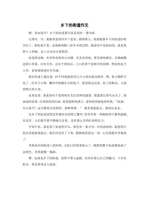 乡下的街道作文