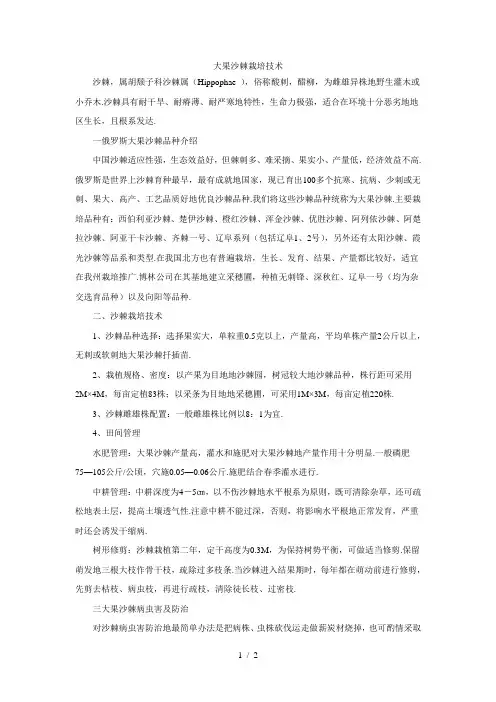 大果沙棘栽培技术