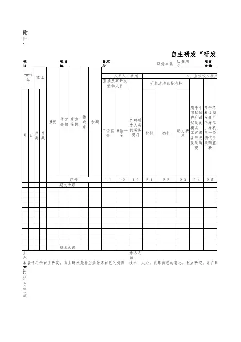 自主研发“研发支出”辅助账(样式)