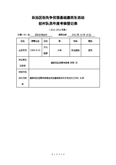 驻村队员年度考核登记表