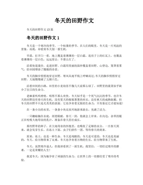 冬天的田野作文