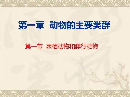 人教版生物八年上课件 .5两栖动物和爬行动物课件