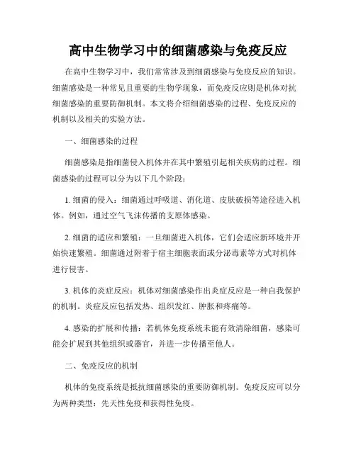 高中生物学习中的细菌感染与免疫反应