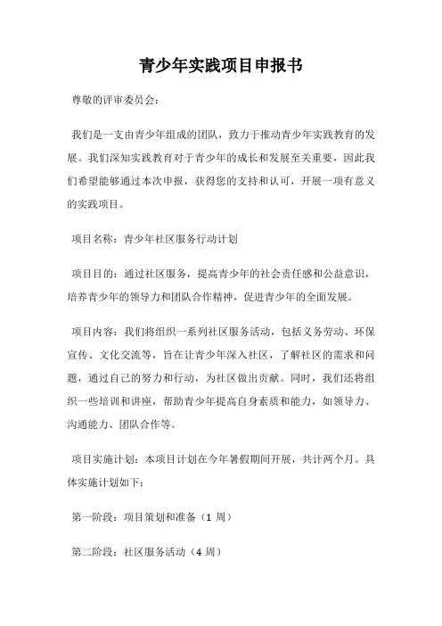 青少年实践项目申报书