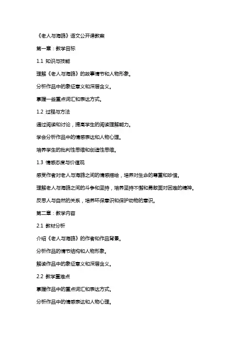 《老人与海鸥》语文公开课教案