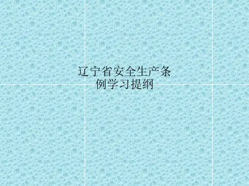 辽宁省安全生产条例学习提纲