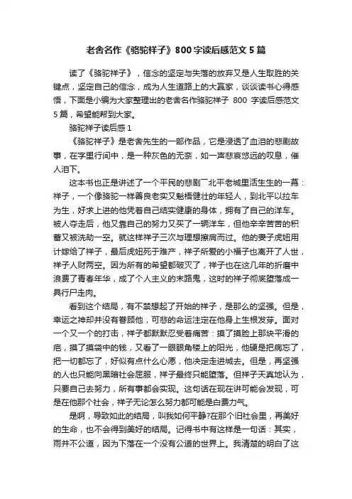 老舍名作《骆驼祥子》800字读后感范文5篇