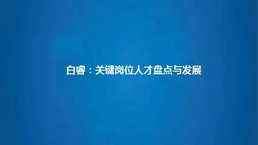 白睿：关键岗位人才盘点与发展