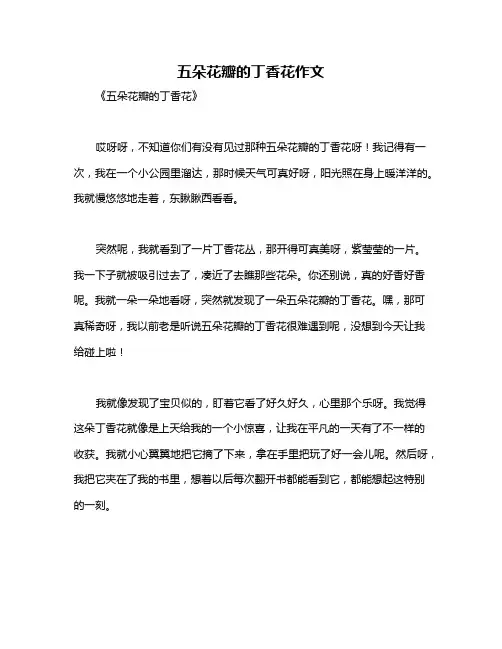 五朵花瓣的丁香花作文