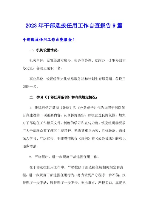 2023年干部选拔任用工作自查报告9篇