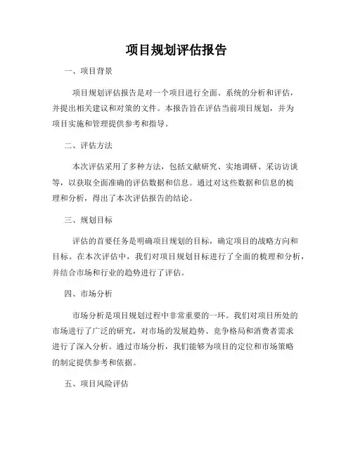 项目规划评估报告