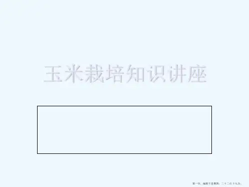 NONG玉米栽培技术培训资料