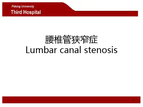 腰椎管狭窄症PPT课件
