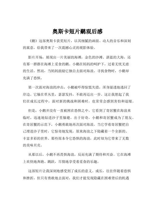奥斯卡短片鹬观后感