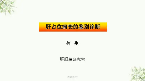 肝占位病变的鉴别诊断课件