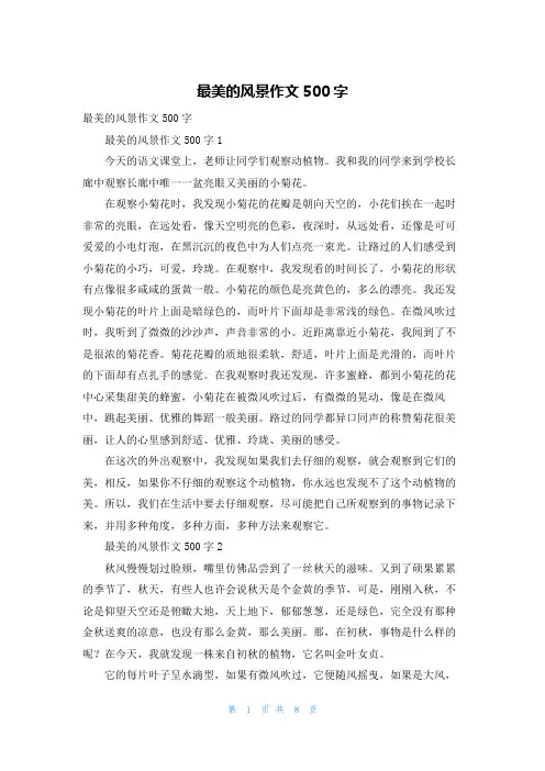 最美的风景作文500字