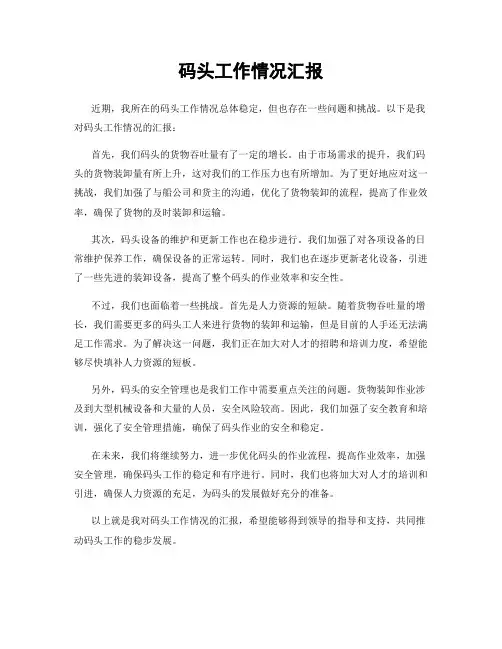 码头工作情况汇报