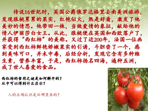 在实践中寻求真知PPT课件
