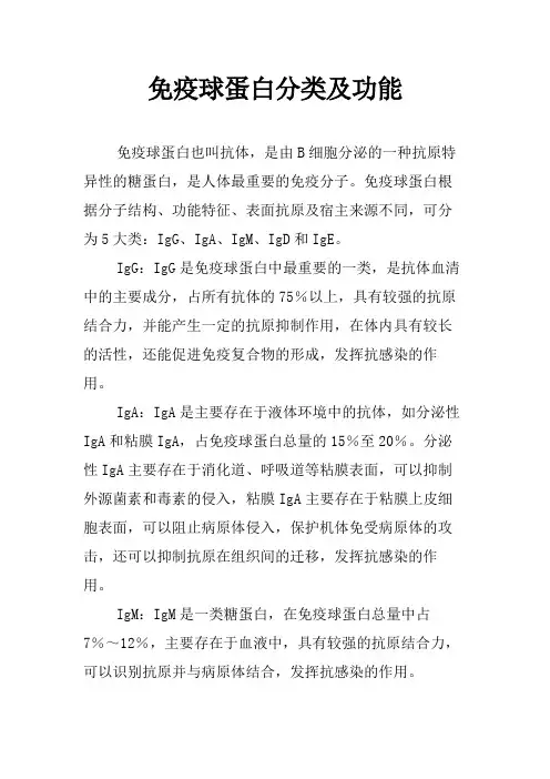 免疫球蛋白分类及功能