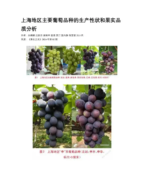上海地区主要葡萄品种的生产性状和果实品质分析 