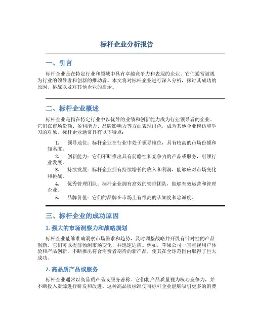 标杆企业分析报告