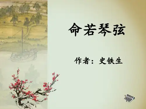 命若琴弦