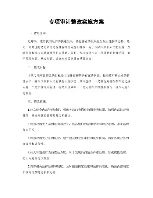 专项审计整改实施方案