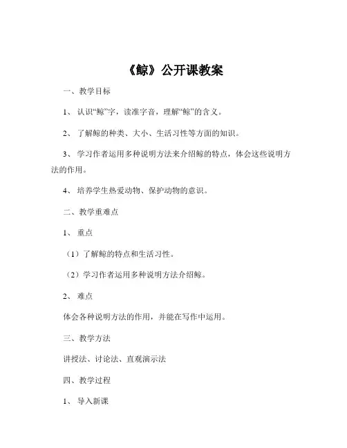 《鲸》公开课教案