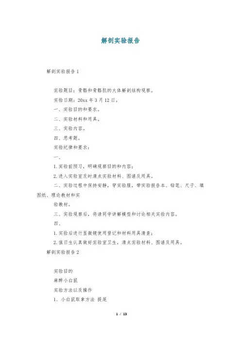 解剖实验报告
