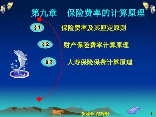 第9章保险费率的计算原理分析