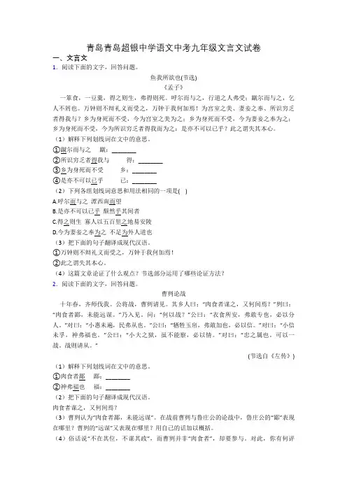 青岛青岛超银中学语文中考九年级文言文试卷