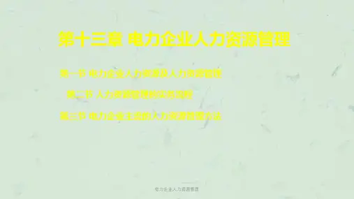 电力企业人力资源管理课件