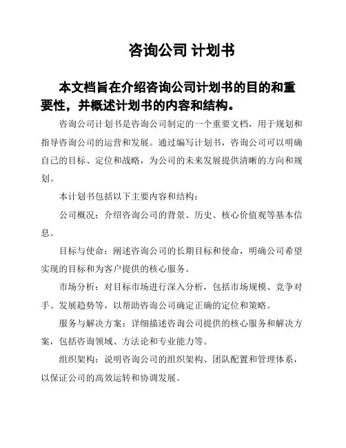 咨询公司 计划书