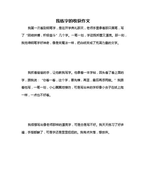我练字的收获作文