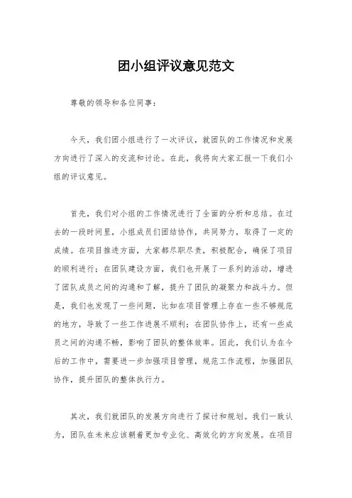 团小组评议意见范文