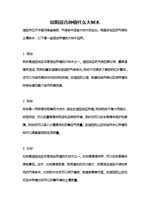 信阳适合种植什么大树木