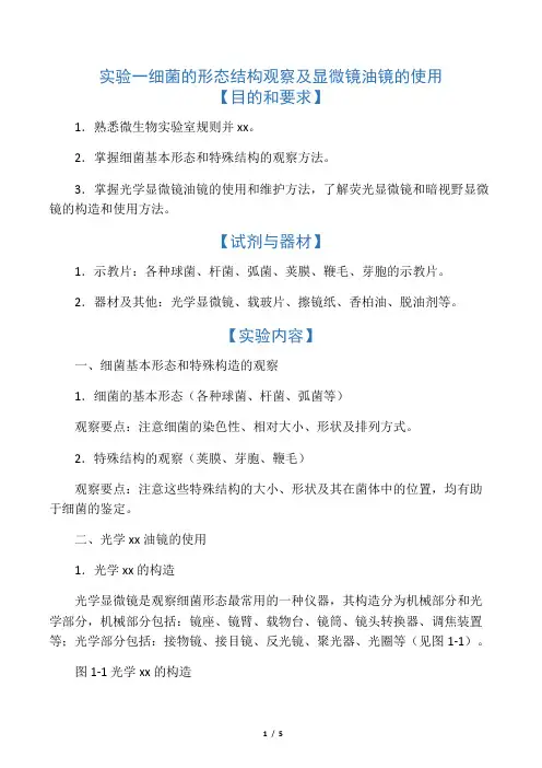 实验一细菌的形态结构观察及显微镜油镜的...