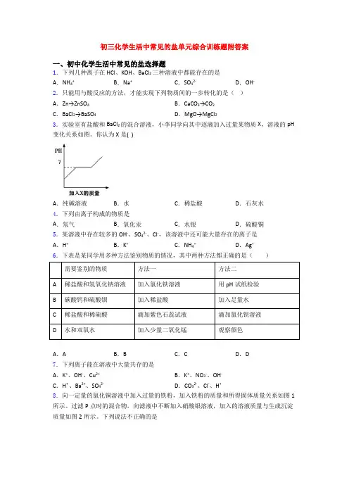 初三化学生活中常见的盐单元综合训练题附答案