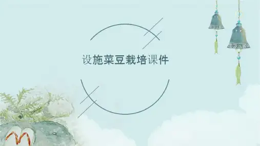 设施菜豆栽培课件