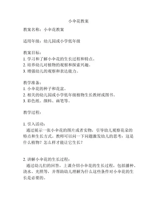小伞花教案