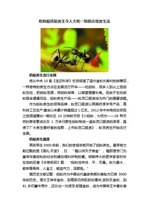 吃蚂蚁还能养生令人大吃一惊的古怪养生法