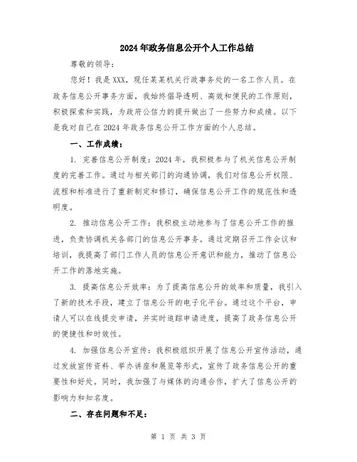 2024年政务信息公开个人工作总结