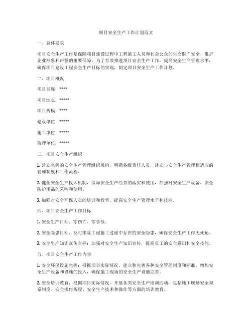 项目安全生产工作计划范文